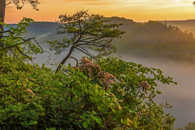 Обои картинки фото природа, пейзажи, простор