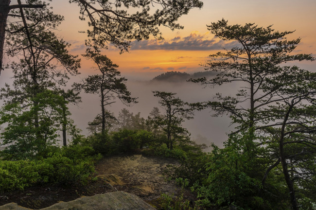 Обои картинки фото природа, пейзажи, простор