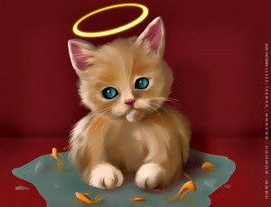 Картинка календари рисованные +векторная+графика котенок нимб вода 2019 calendar рыба животное кошка кот