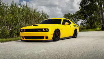 Картинка автомобили dodge challenger