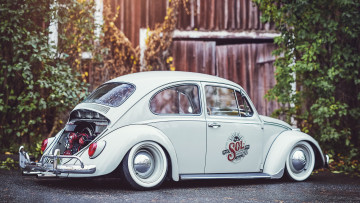Картинка автомобили volkswagen beetle