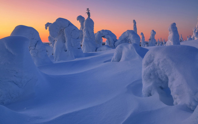 Обои картинки фото природа, зима, снег, сугробы