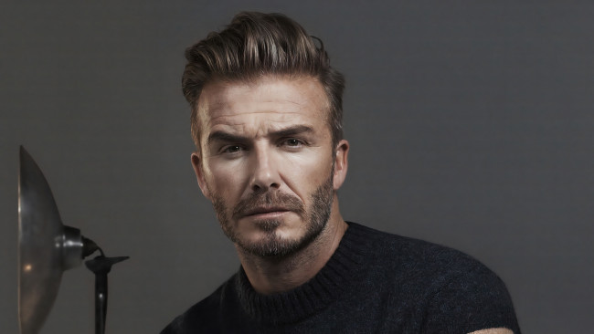 Обои картинки фото мужчины, david beckham, актер, лицо, свитер