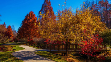 Картинка gibbs+gardens georgia природа парк gibbs gardens