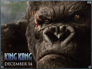 Картинка кинг конг кино фильмы king kong