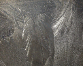 Картинка природа макро