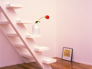 Картинка цветы тюльпаны