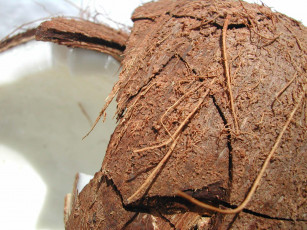 Картинка еда кокос