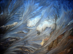 Картинка природа макро