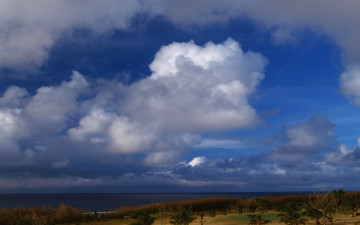 Картинка природа