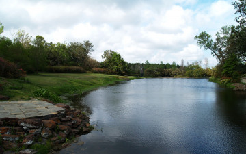 Картинка природа