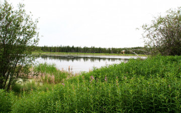 Картинка природа