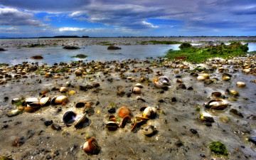 Картинка природа побережье