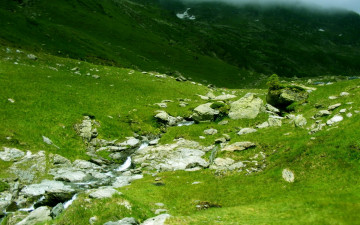 Картинка природа реки озера