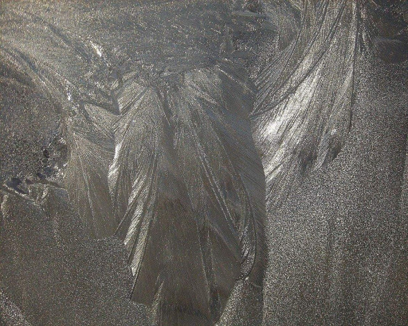 Обои картинки фото природа, макро