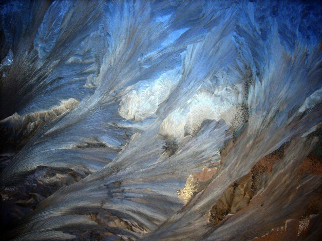 Обои картинки фото природа, макро