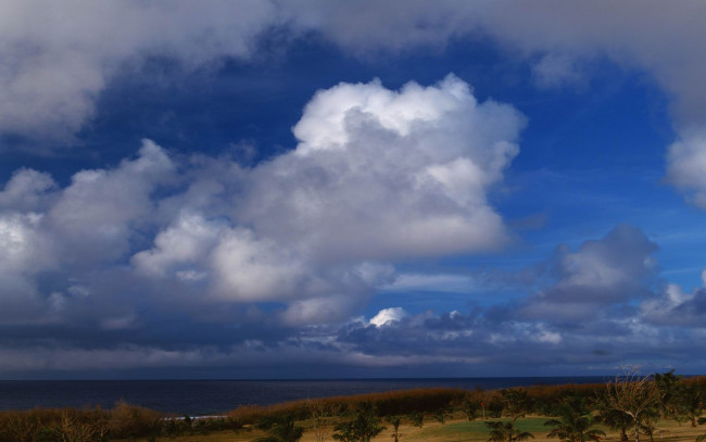 Обои картинки фото природа