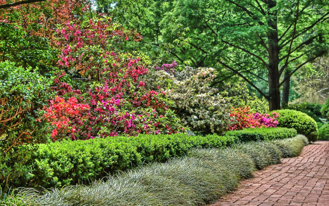 Обои картинки фото природа