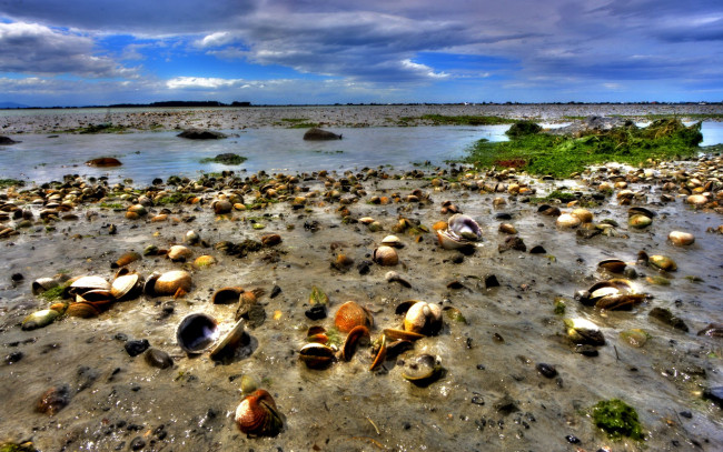 Обои картинки фото природа, побережье