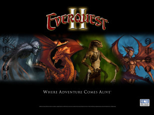 Картинка everquest ii видео игры