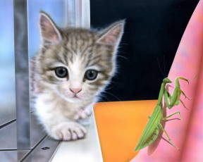 Картинка рисованные животные коты