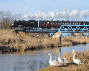 Картинка техника паровозы