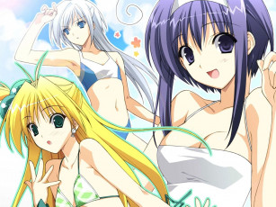 Картинка аниме akikan