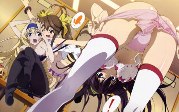 Картинка аниме infinite stratos