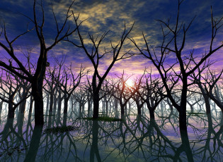 Картинка 3д графика nature landscape природа деревья