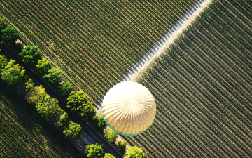 Картинка природа поля