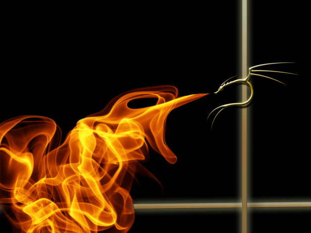 Обои картинки фото 3д, графика, abstract, абстракции, дракон