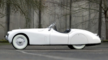 Картинка jaguar xk120 автомобили великобритания tata motors класс-люкс