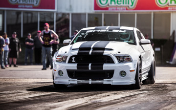 Картинка автомобили выставки+и+уличные+фото shelby mustang белый