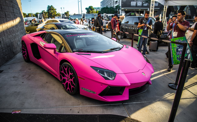 Обои картинки фото автомобили, выставки и уличные фото, lamborghini, розовый