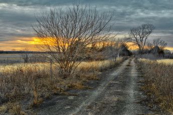 Картинка природа дороги тракт трава поле