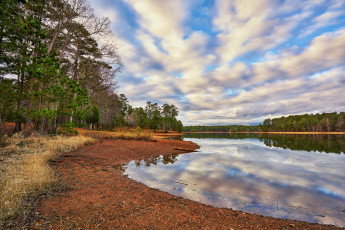 Картинка природа реки озера облака река лес