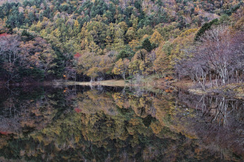 Картинка природа реки озера деревья вода отражение takaten осень утро