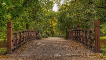 Картинка природа дороги дорожка мостик парк