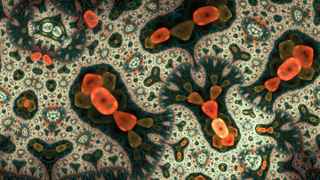 Картинка 3д+графика фракталы+ fractal узор фон цвета