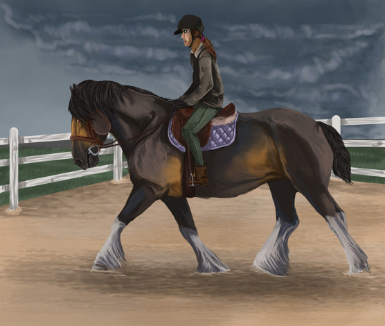Обои картинки фото рисованное, животные,  лошади, всадник, лошадь
