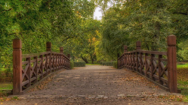 Обои картинки фото природа, дороги, дорожка, мостик, парк