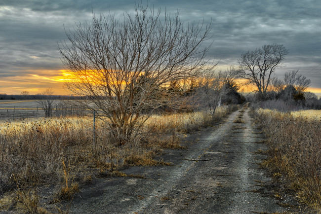 Обои картинки фото природа, дороги, тракт, трава, поле