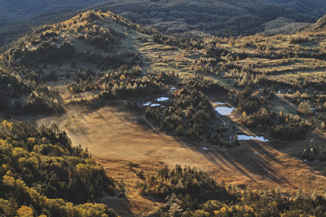 Обои картинки фото природа, лес, вода, утро, деревья, вид, сверху, takaten, солнечно, туман