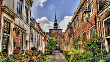 Картинка города -+улицы +площади +набережные цветы небо шпиль здания дома улица