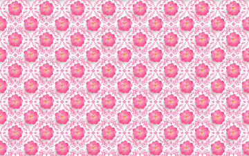 Картинка векторная+графика цветы+ flowers цветы сакура узор