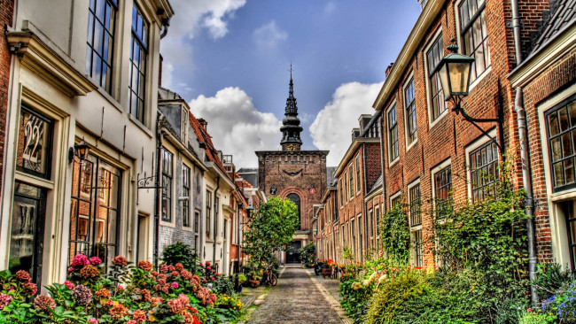 Обои картинки фото города, - улицы,  площади,  набережные, цветы, небо, шпиль, здания, дома, улица