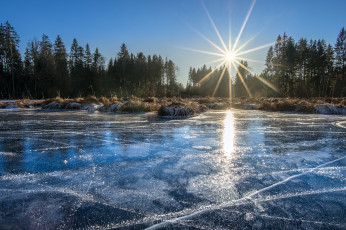 Картинка природа реки озера лес река