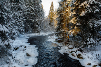 Картинка природа реки озера река лес