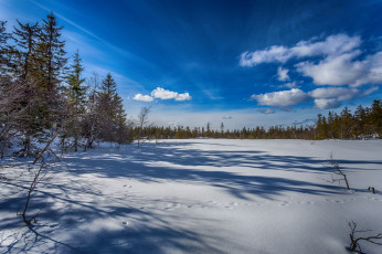 Картинка природа зима снег