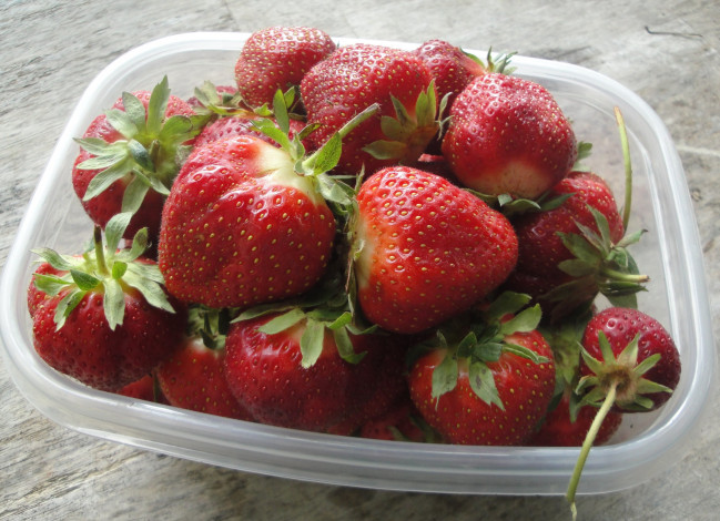 Обои картинки фото еда, клубника,  земляника, ягоды